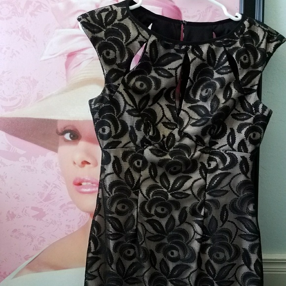 Maggy London Body Con Peek-a-boo Black Lace Dress - Picture 4 of 4